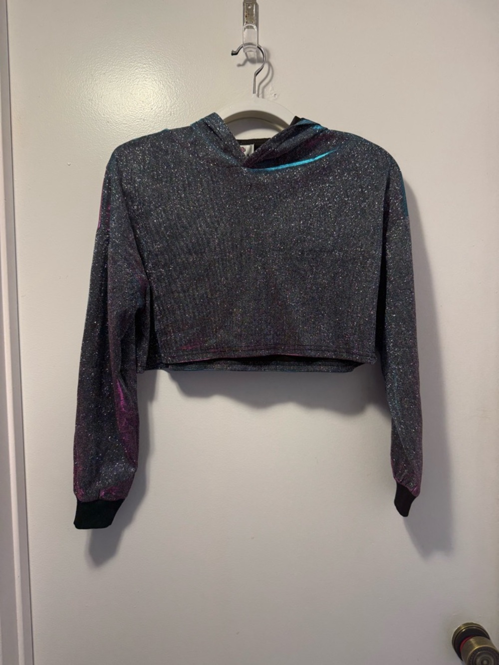 Sparkle Cropped Hooded Top holographic